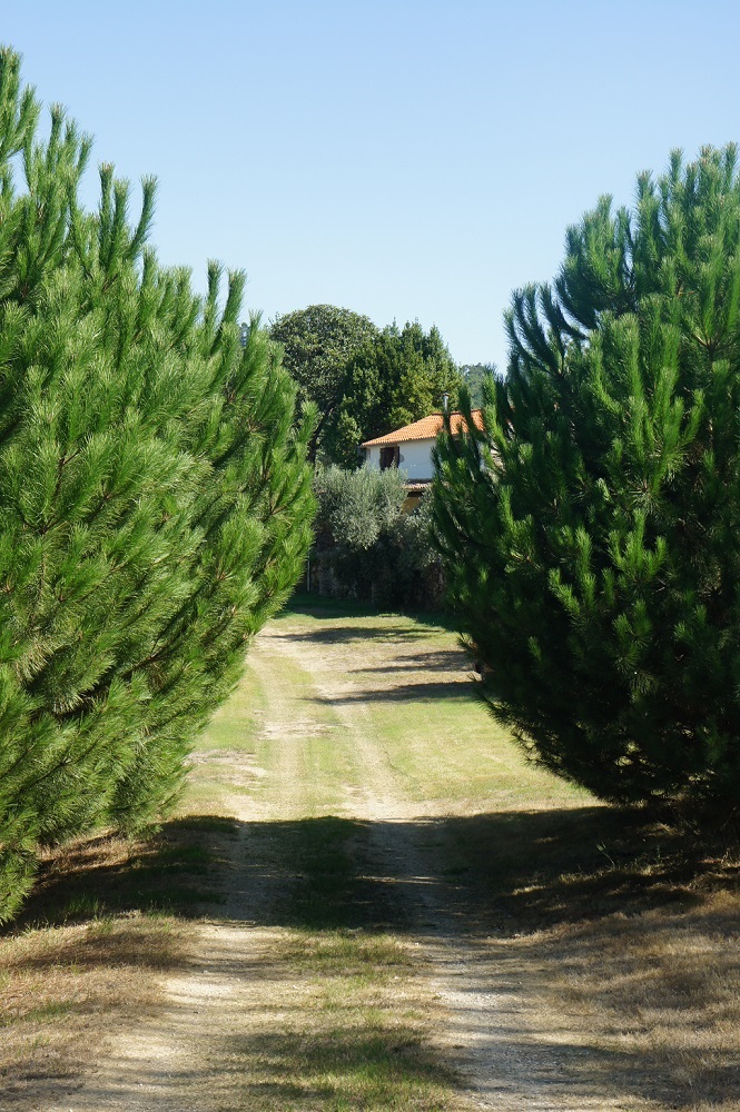 Quinta Da Cal